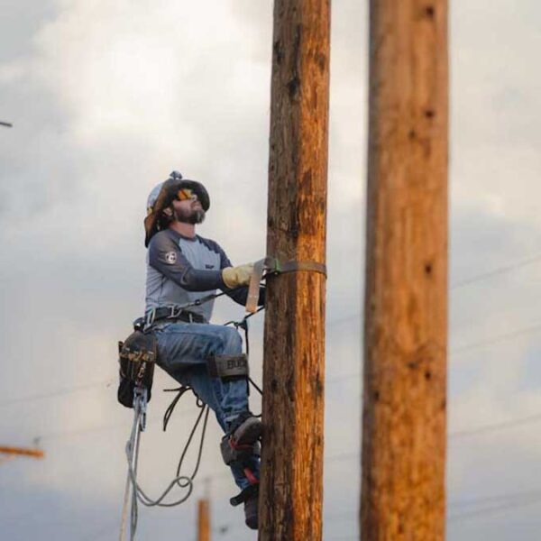 Va Turning Point por elección de SRP