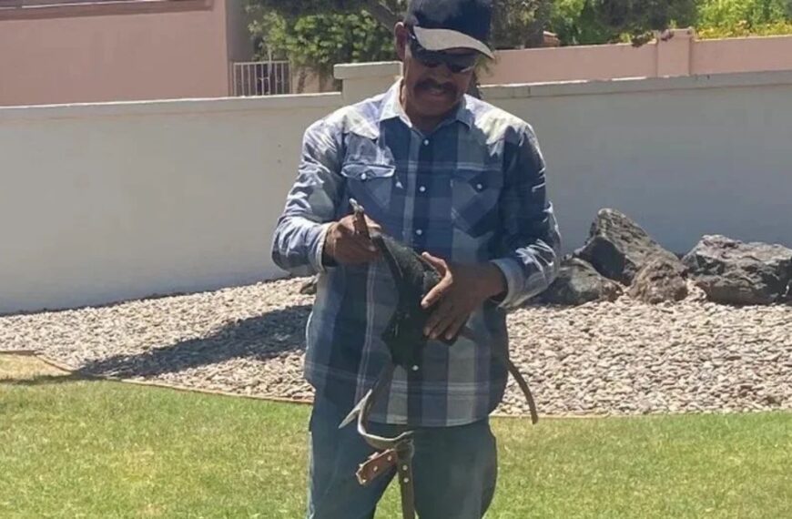 Únete a la causa: Recaudan fondos para jardinero hispano