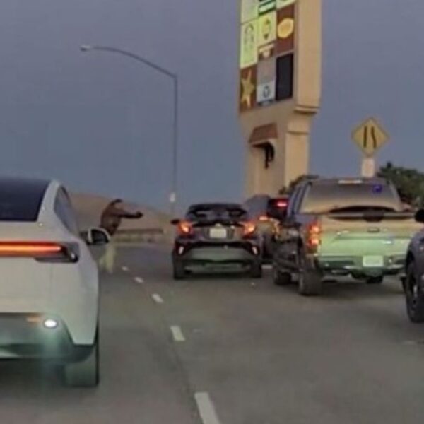 Hombre grave tras tiroteo con agentes de ICE en California