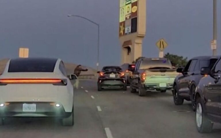 Hombre grave tras tiroteo con agentes de ICE en California