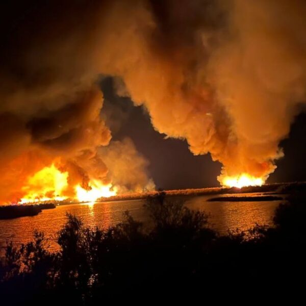 Logran contención del 10% del incendio Hazen en Buckeye