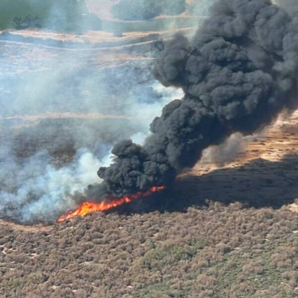 Incendio Hazen en Buckeye sigue sin control; consume 980 acres