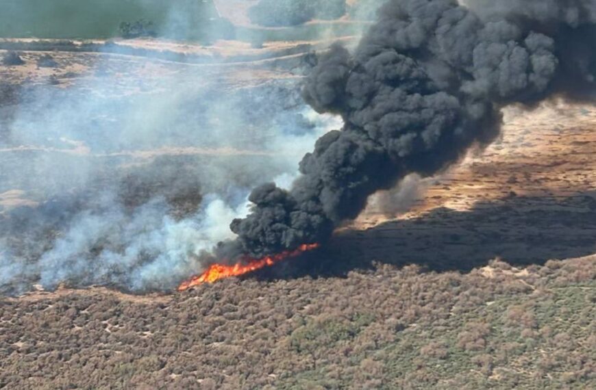 Incendio Hazen en Buckeye sigue sin control; consume 980 acres