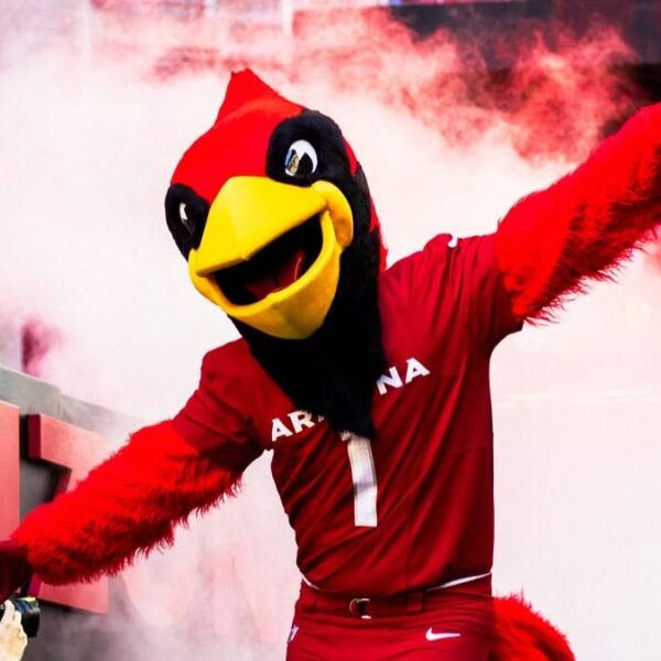 Cardinals abrirán prácticas al público en State Farm Stadium