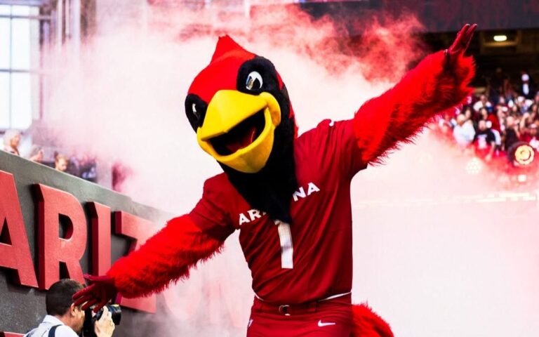Cardinals abrirán prácticas al público en State Farm Stadium