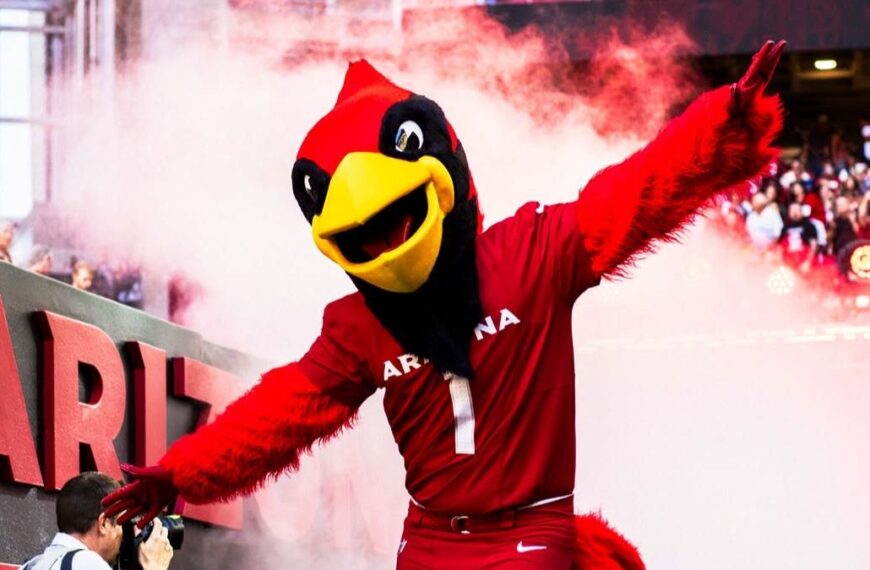 Cardinals abrirán prácticas al público en State Farm Stadium