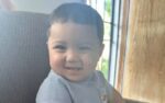 Recaudan fondos para darle el último adiós a ‘Baby Lupe’