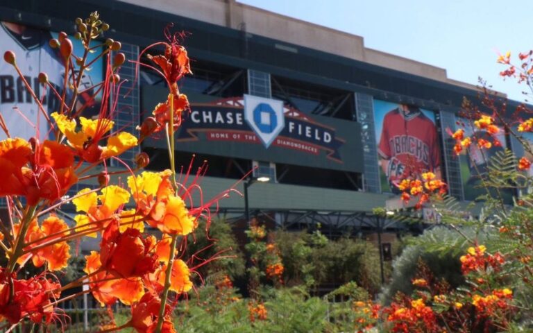 Alerta de sarampión en Phoenix y Chandler por contagio