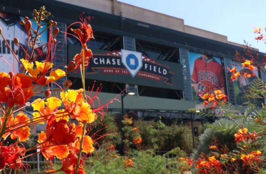Alerta de sarampión en Phoenix y Chandler por contagio