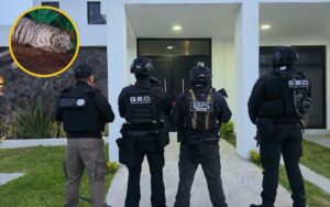 Golpe al CJNG: Caen 20 con armas, vehículos y tigres