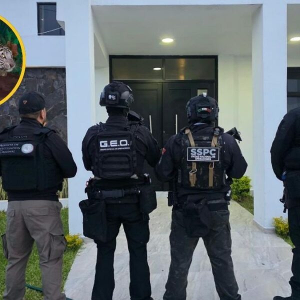 Golpe al CJNG: Caen 20 con armas, vehículos y tigres
