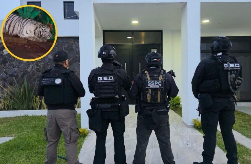 Golpe al CJNG: Caen 20 con armas, vehículos y tigres