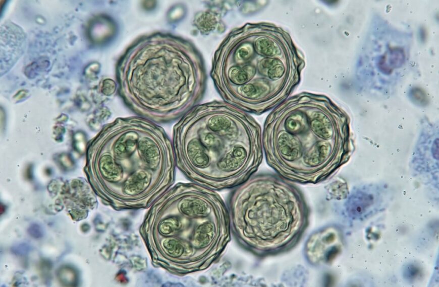 Reportan primeras muertes por brote de Cyclospora
