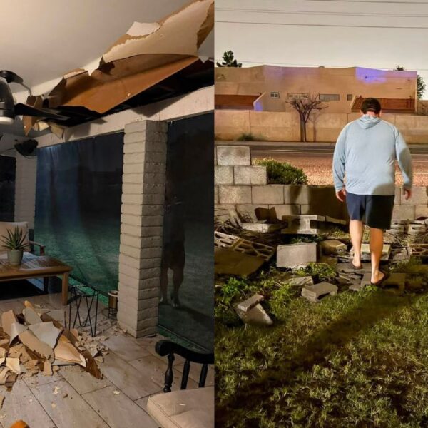 Tormenta destructiva azota Glendale; miles sin luz y árboles caídos