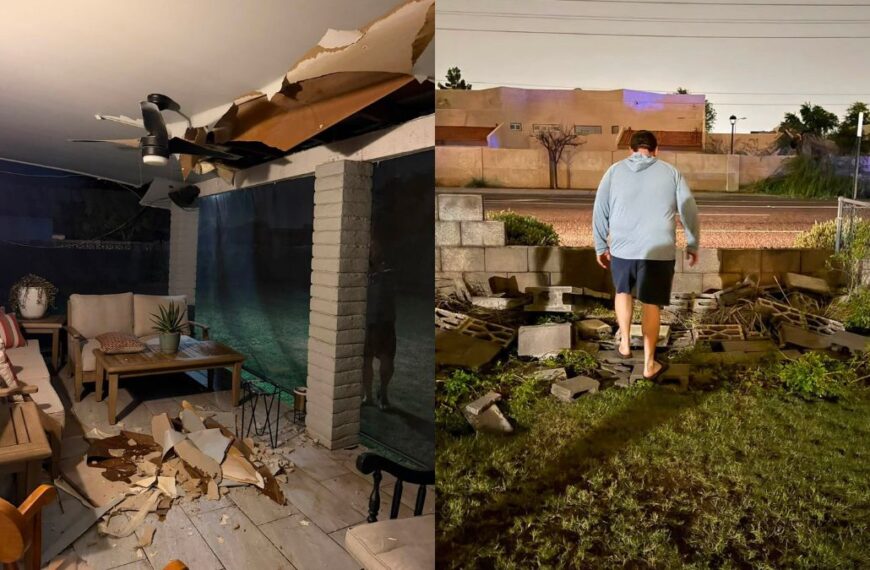Tormenta destructiva azota Glendale; miles sin luz y árboles caídos