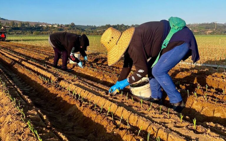 Es oficial: César Chávez Day es ahora Día del Trabajador Agrícola