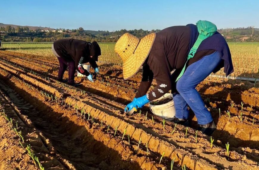 Es oficial: César Chávez Day es ahora Día del Trabajador Agrícola