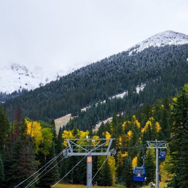 Primera nevada en Arizona Snowbowl: Cómo llevar a tu familia a conocer la nieve