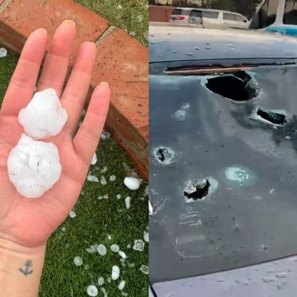 Brutal granizada deja autos destrozados, apagones y árboles caídos