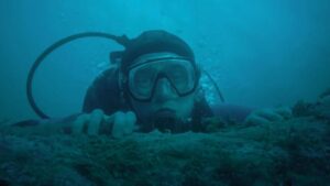 ¿Qué harías si te traga una ballena? ‘Whalefall’, un asfixiante thriller